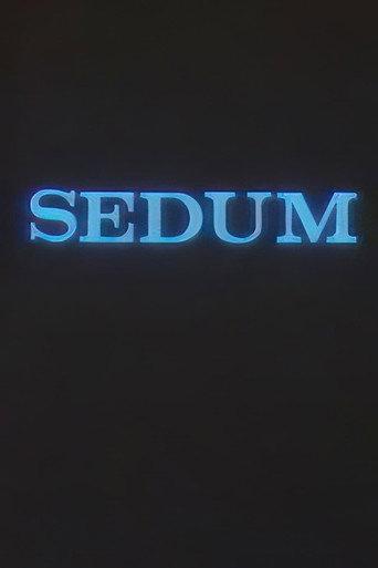 The Seven (1989) poster