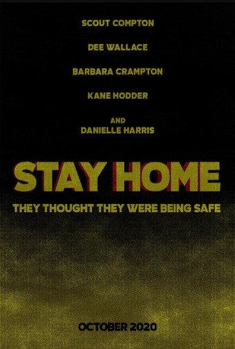 Stay Home (2020) poster