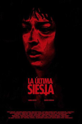 The Last Nap (2024) poster