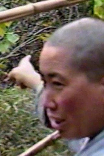 Searching for Hermits in China with Red Pine (1994) poster