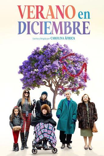 Family Affairs (2024) poster
