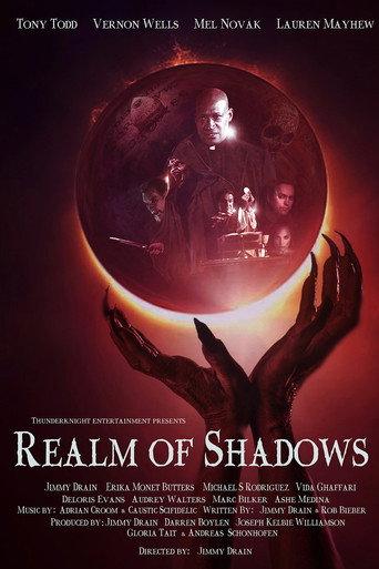 Realm of Shadows (2024) poster