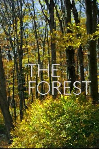 The Forest (2019) poster