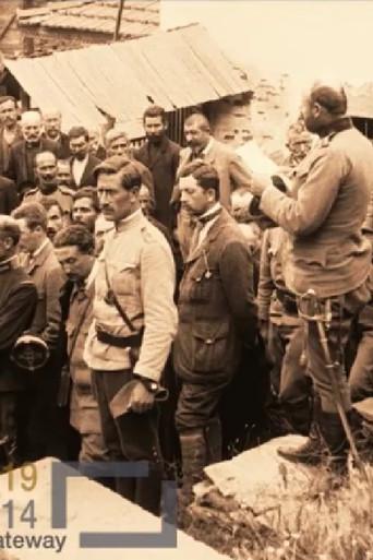Funeral of Second Lieutenant Živojin Marinković (1913) poster