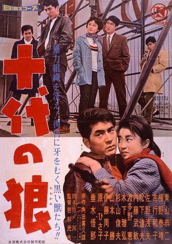 Teenage Wolf (1960) poster