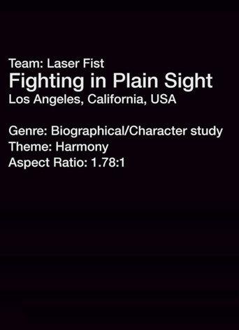 Fighting in Plain Sight (2013) poster