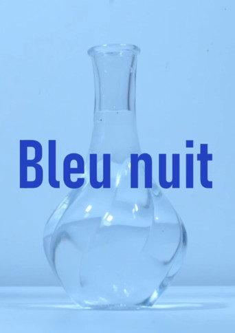 Bleu nuit (2026) poster