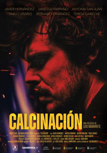 Incinerate (2026) poster