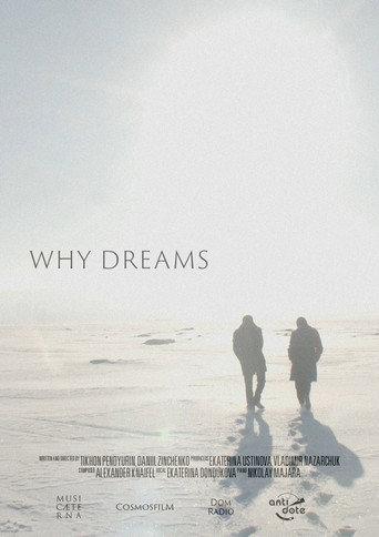 Why Dreams (2021) poster