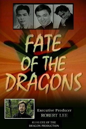 Fate of the Dragons (1993) poster