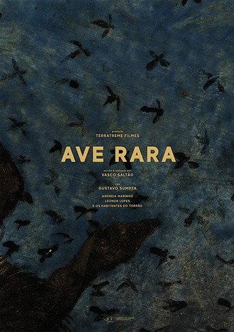 Ave Rara (2019) poster