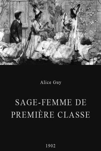 Midwife to the Upper Class (1902) poster