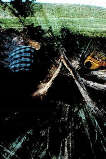 Scars (1971) poster