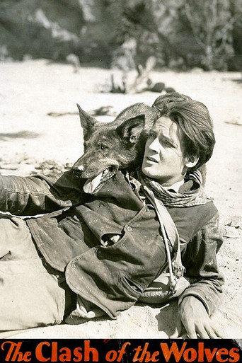 Clash of the Wolves (1925) poster