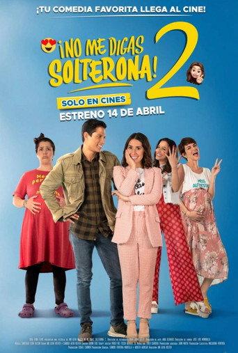 Don't Call Me Spinster 2 (2020) poster