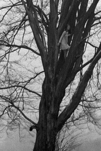 Foundling-Bird (1968) poster