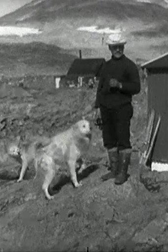 Grønlandsfilmen (1928) poster
