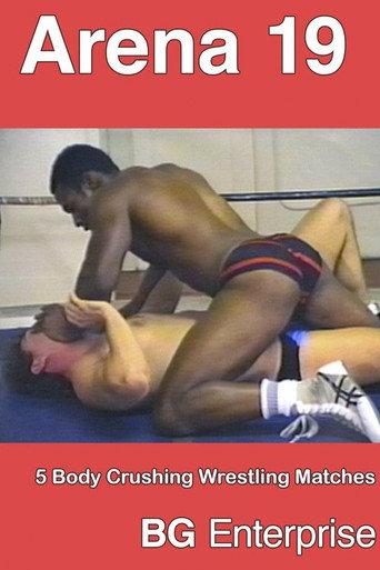 Arena Wrestling 19 (2012) poster
