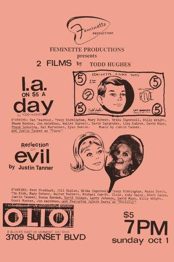 Reflection of Evil (1989) poster