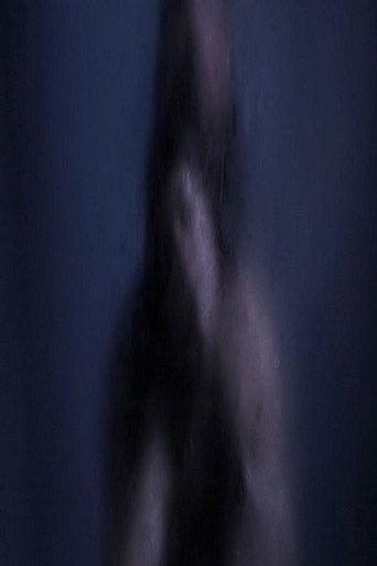 Baisers Nocturnes (2014) poster