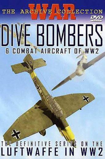 Dive Bombers & Combat Aircraft of WW2 (2006) poster