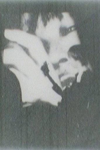 Enter the Bottom of DOM (2010) poster