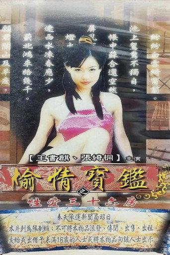 偷情宝鉴之性爱三十六房 () poster