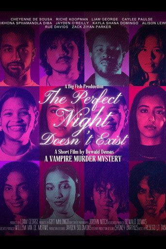 The Perfect Night Doesn't Exist (2024) poster