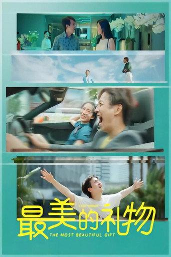 最美的礼物 (2022) poster