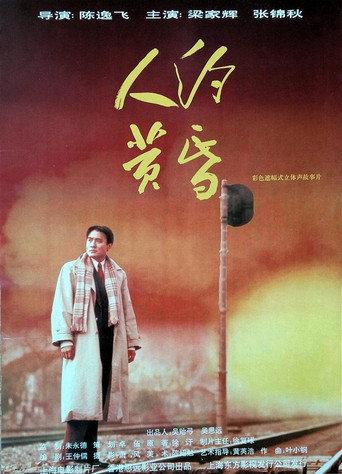 Evening Liaison (1995) poster