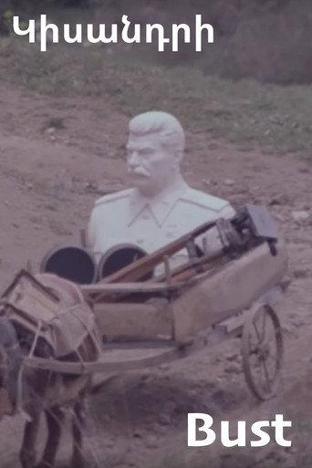Bust (1993) poster