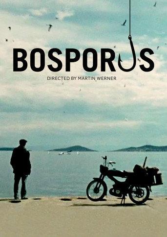 Bosporus (2011) poster