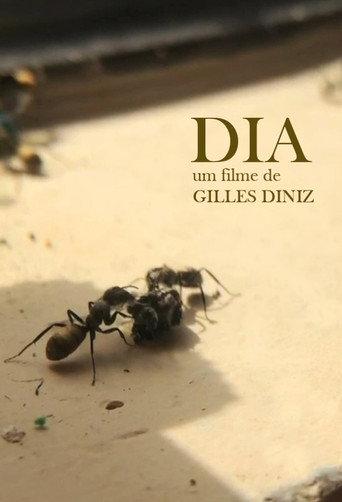 DAY () poster