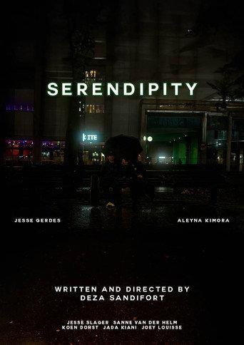 Serendipity (2024) poster