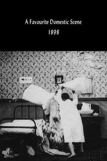 A Favourite Domestic Scene (1898) poster