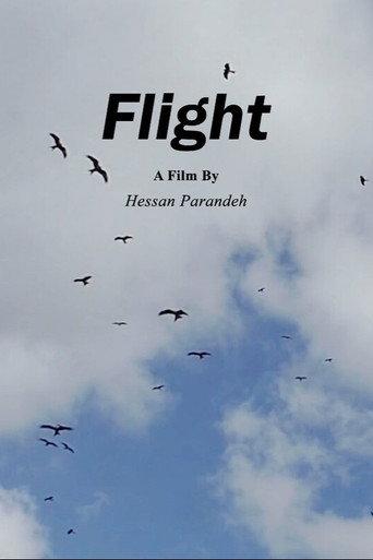 Flight () poster