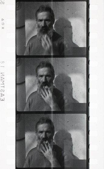 Les films de Brancusi (1939) poster