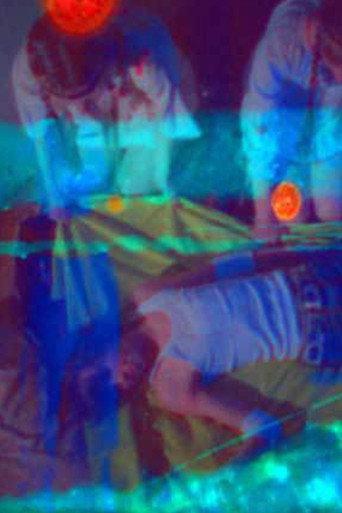 Daisies Roll Up Film (2008) poster