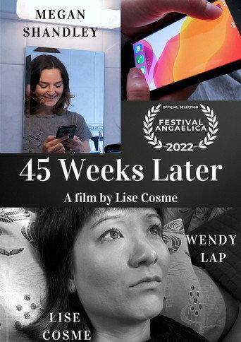 45 Weeks Later (2022) poster