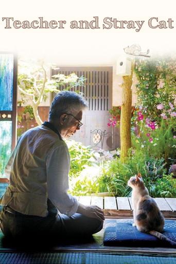 Teacher and Stray Cat (2015) poster