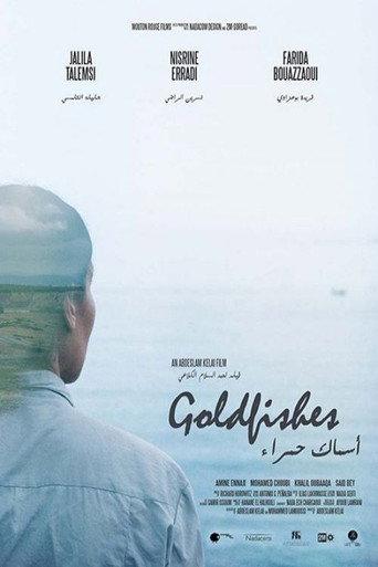 Goldfishes (2022) poster