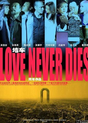 Love Never Dies (2011) poster