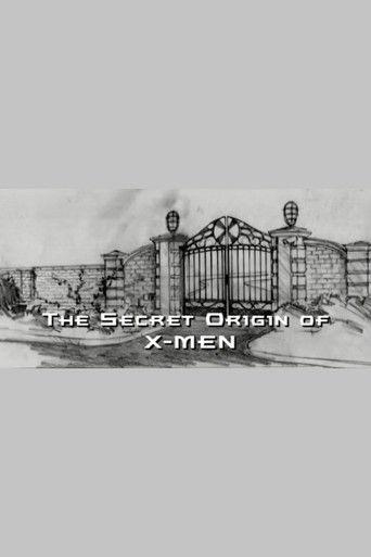 The Secret Origin of X-Men (2003) poster