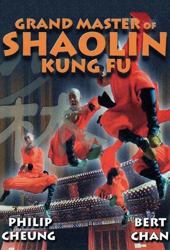 Grand Master Of Kung Fu (1981) poster