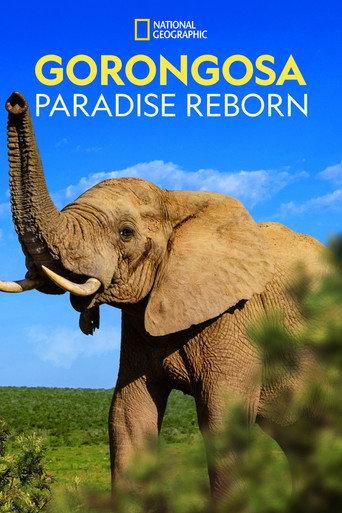 Gorongosa: Paradise Reborn (2022) poster