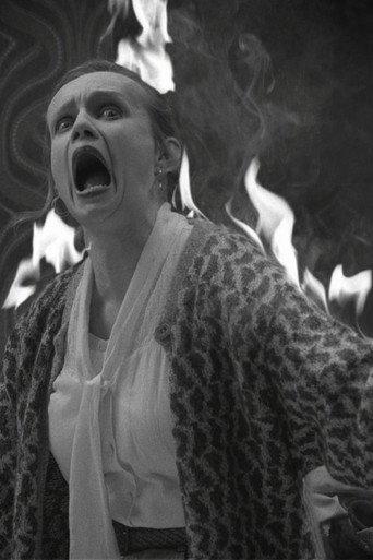 Maid on Fire! (2008) poster