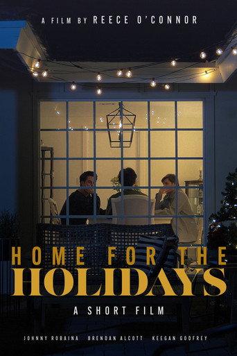 Home for the Holidays (2023) poster