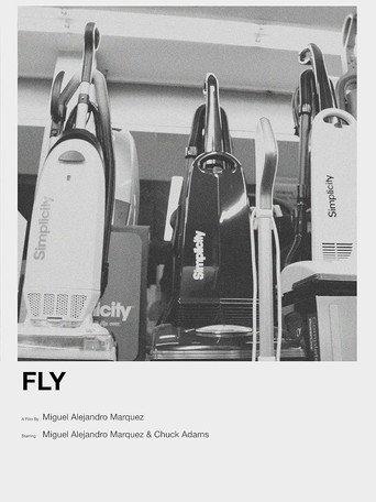 Fly (2021) poster