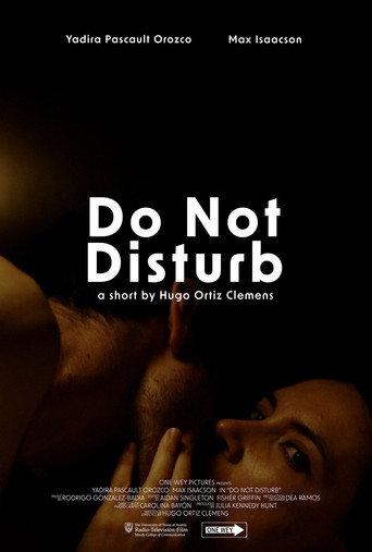 Do Not Disturb () poster