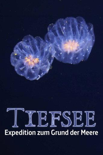 Fascination of the Deep Sea (2026) poster